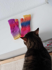Cat approved!
