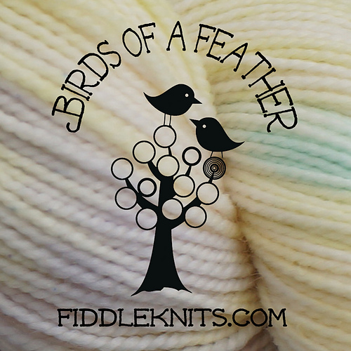 Fugler av fjærene - Erica Jackofsky