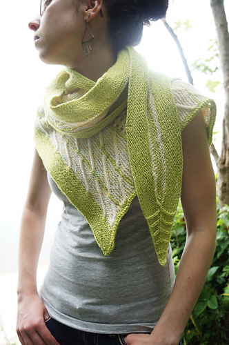 Fugler av fjærene - Erica Jackofsky