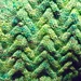 Submarine Forest pattern 