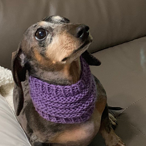 Pupper Poofy Cowl photo 1