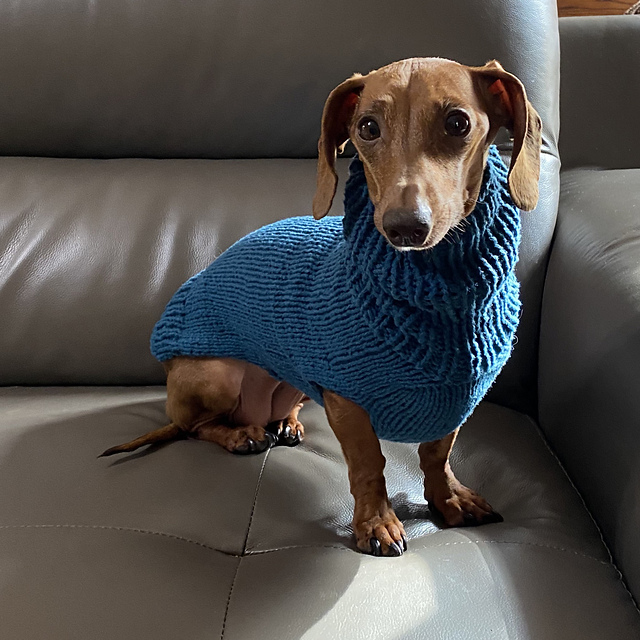 mini dachshund jumper pattern