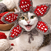 Demogorgon Cat & Dog Hat pattern 
