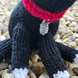 Black and white knitted cat with red collar and bell