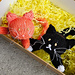Two cute knitted cats in a gift box shoe box