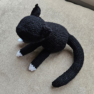 Plain knitted black and white cat
