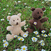 Knitted Teddy Bears pattern