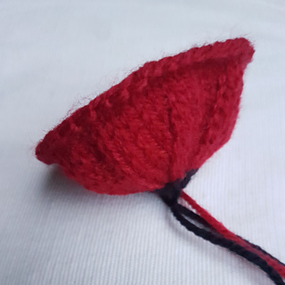 Knitted Poppy from the Outside
