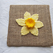 Knit a daffodil picture