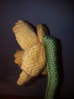 Knitted Daffodil Side View