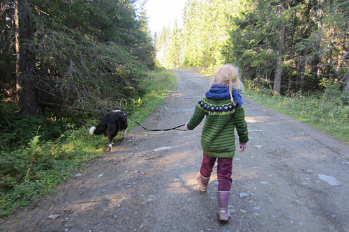 Sinnasaugenseren / Angry Sheep pullover - Fivrel