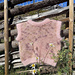 Hummingbird & Kolibrivest pattern