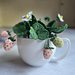 Pineberry Plant pattern 