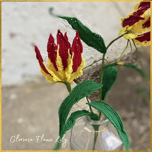 Gloriosa flammeslipsblomst - Leticia Lebron