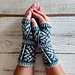 Starla Mitts photo 3