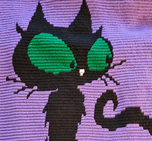 Curious Kitty
