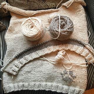 professor meow sweater