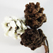 Christmas Wreath, Fir Cones & Toadstools pattern 