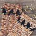Feed the Birds socks pattern
