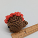 Pocket Dino photo 5