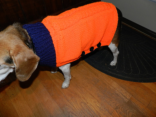 Holiday Dog Christmas Sweater photo 2