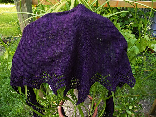 Elinor Shawlette photo 3
