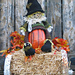 Patches the Scarecrow pattern 