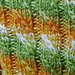 Twilled Stripe pattern 
