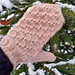 Ricamo vantar pattern 
