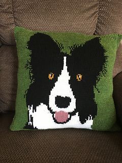 border collie pillow