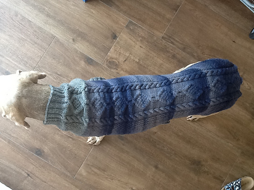 Hundepulli Maxi - dog sweater photo 7