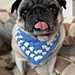 Pet Bandana pattern 