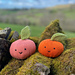 Sweet Satsuma Toys pattern 