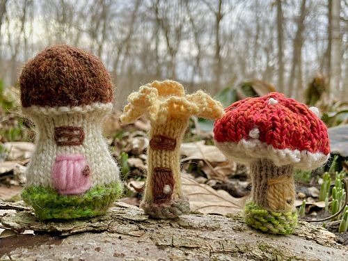 Mushroom or Fairy House? photo 11