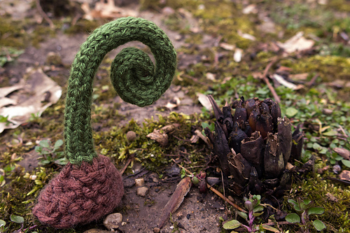 Fern Heart photo 5