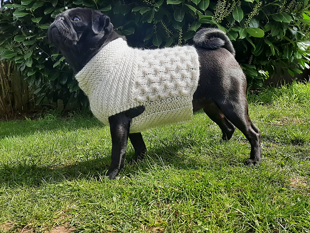pug jumper knitting pattern