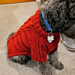 Poppy's Cable Sweater pattern 