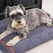 Fireside Pet Bed Cover pattern 