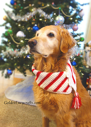 Christmas Dog Scarf