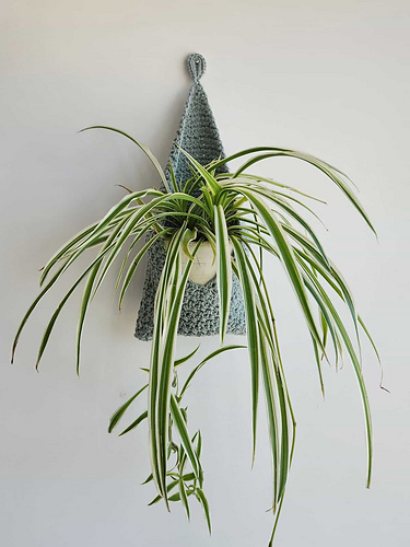 Mesh Hanging Basket photo 6