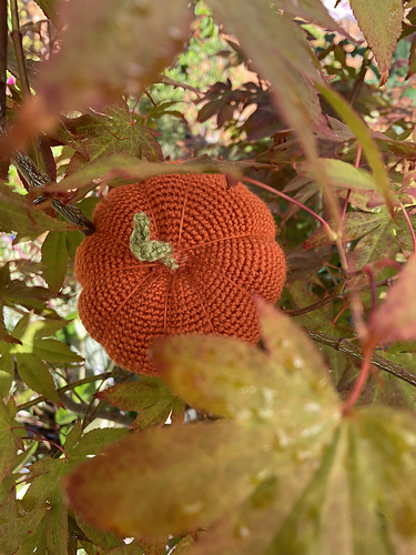 My Crochet Kitchen: Munchkin Pumpkin photo 8