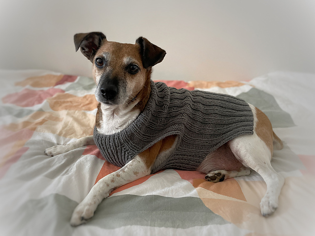 flannel dog sweater