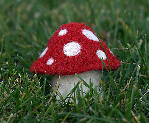 Myriads of Mushrooms photo 1