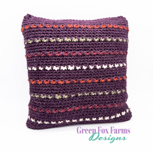 Pop of Color Pillow