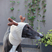 Reindeer Greyhound Snood photo 4