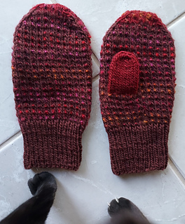 Moxie is a busy girl. 