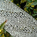 Swing Scarf photo 4