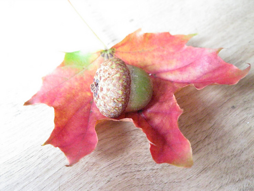 Mini Knitted Pumpkin photo 5