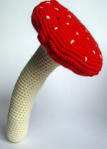 Toadstool Mushroom photo 1
