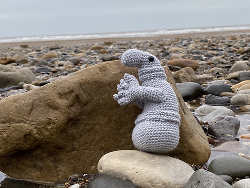 Snorp - Hannah Mainprize